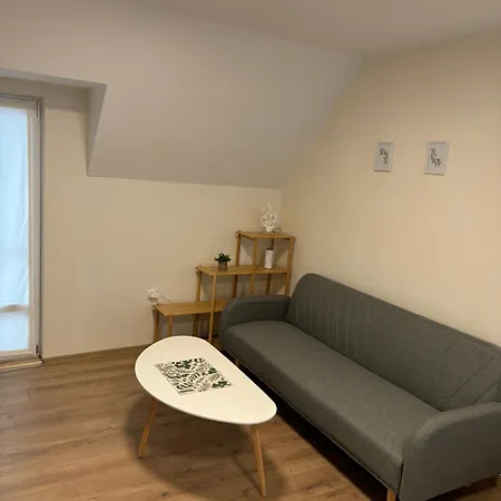 студио за гости при нана