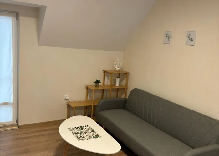 студио за гости при нана